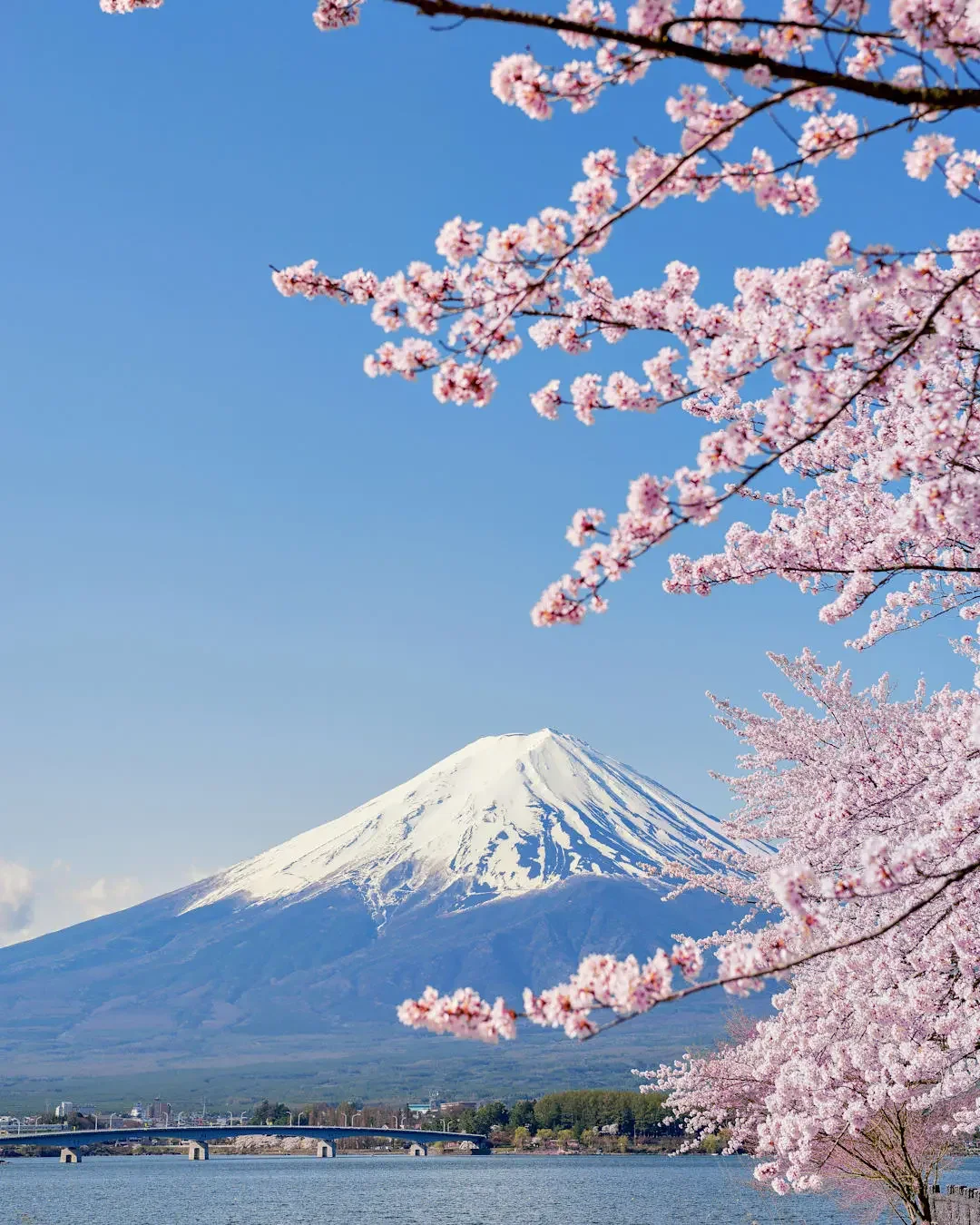 Japan travel destination