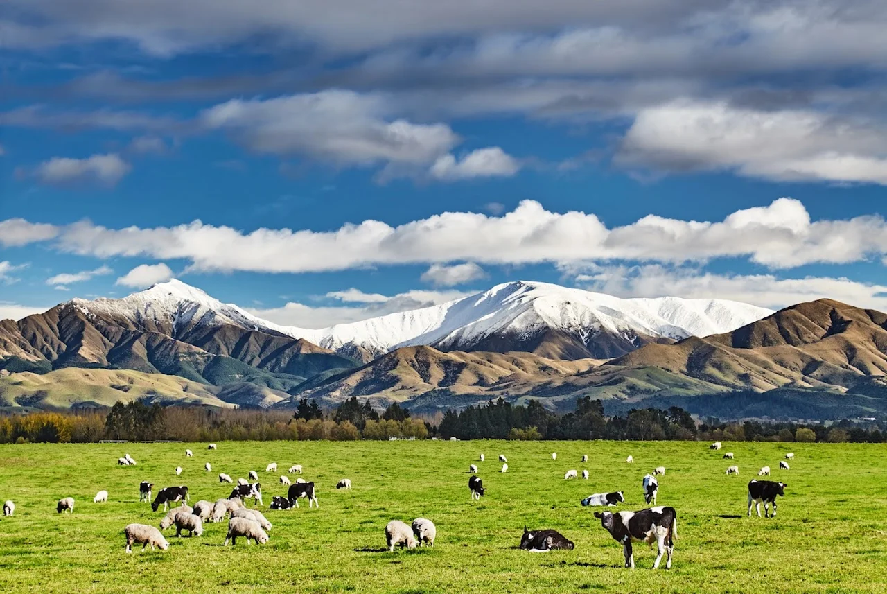 Mountains and green farmland in New Zealand